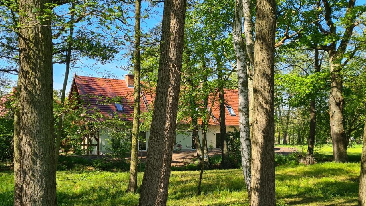 Vierseitenhof Appartements Burg  Dış mekan fotoğraf
