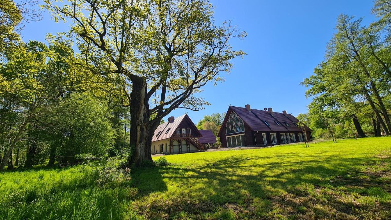 Vierseitenhof Appartements Burg  Dış mekan fotoğraf