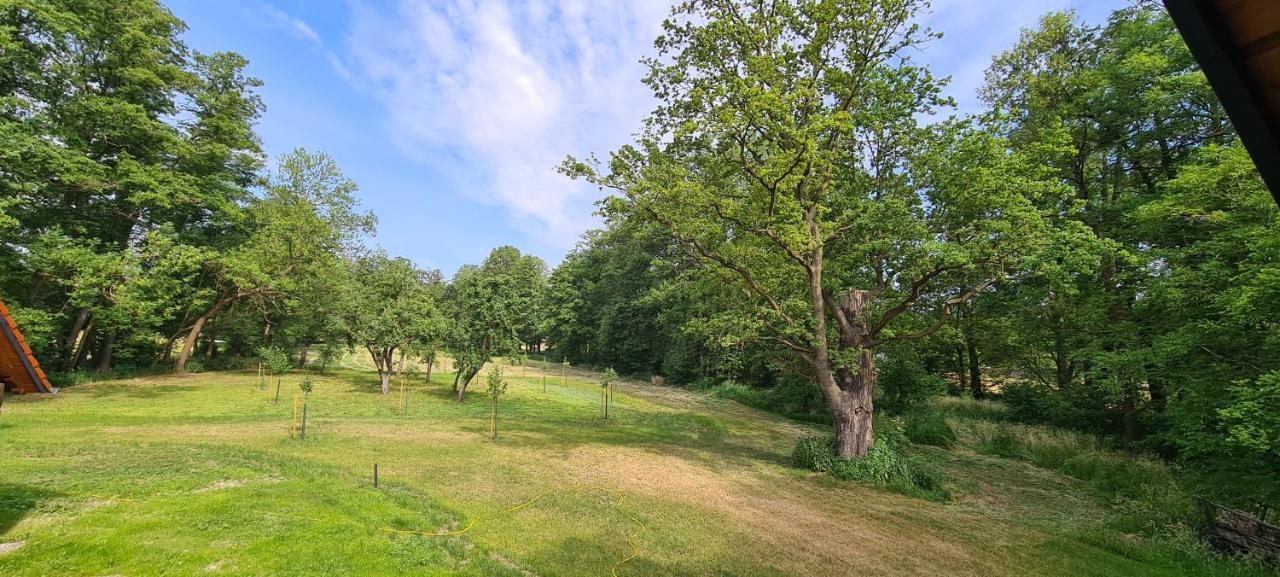 Vierseitenhof Appartements Burg  Dış mekan fotoğraf