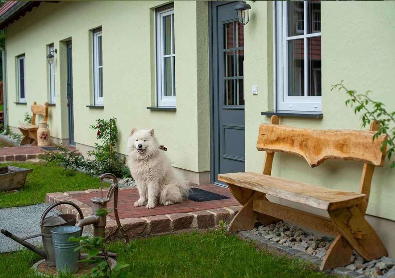 Vierseitenhof Appartements Burg  Dış mekan fotoğraf